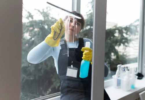 Nettoyage de vitres intérieures et extérieures à Eaux-Puiseaux